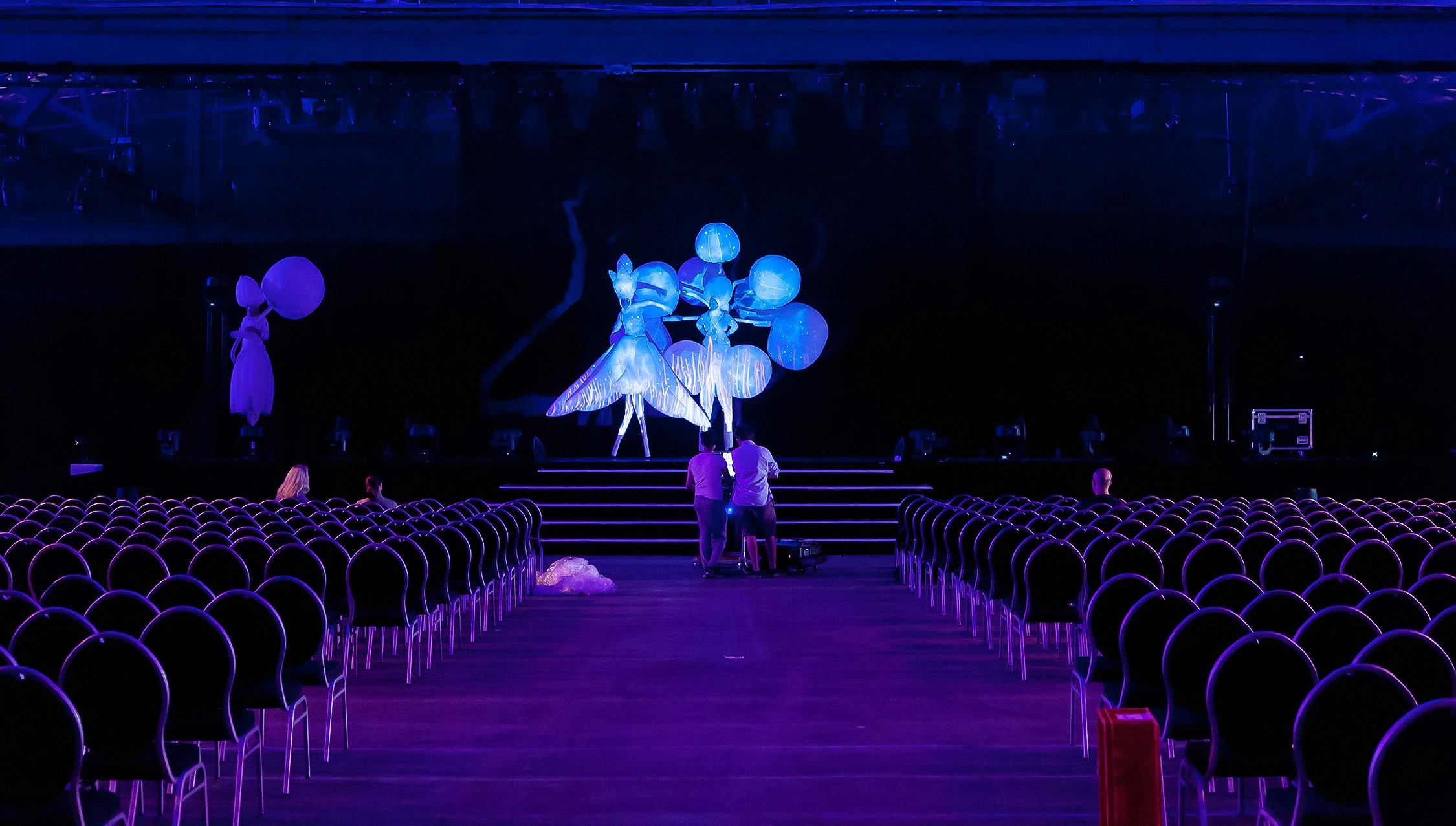 Imago Floris - interactive stage projection mapping