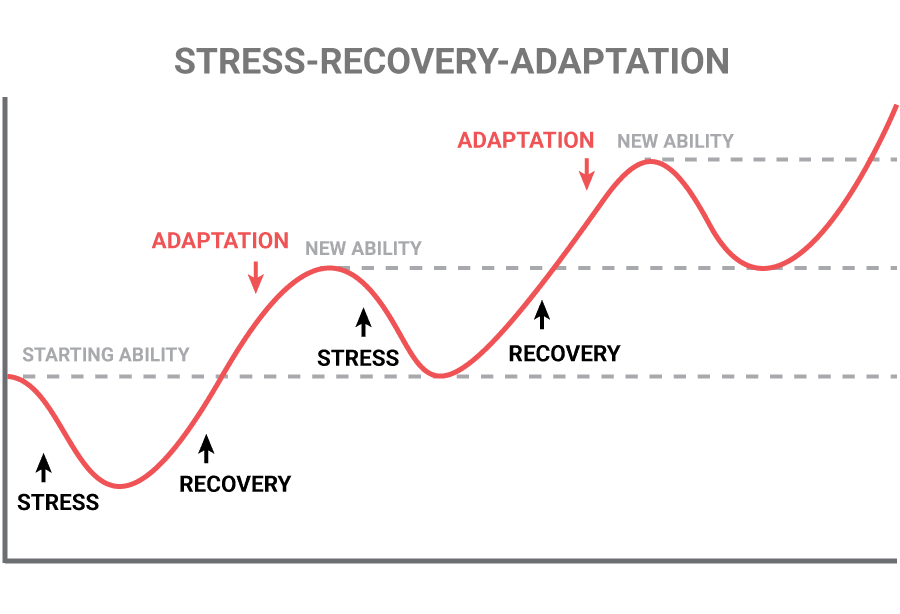 stress-recovery-adaption