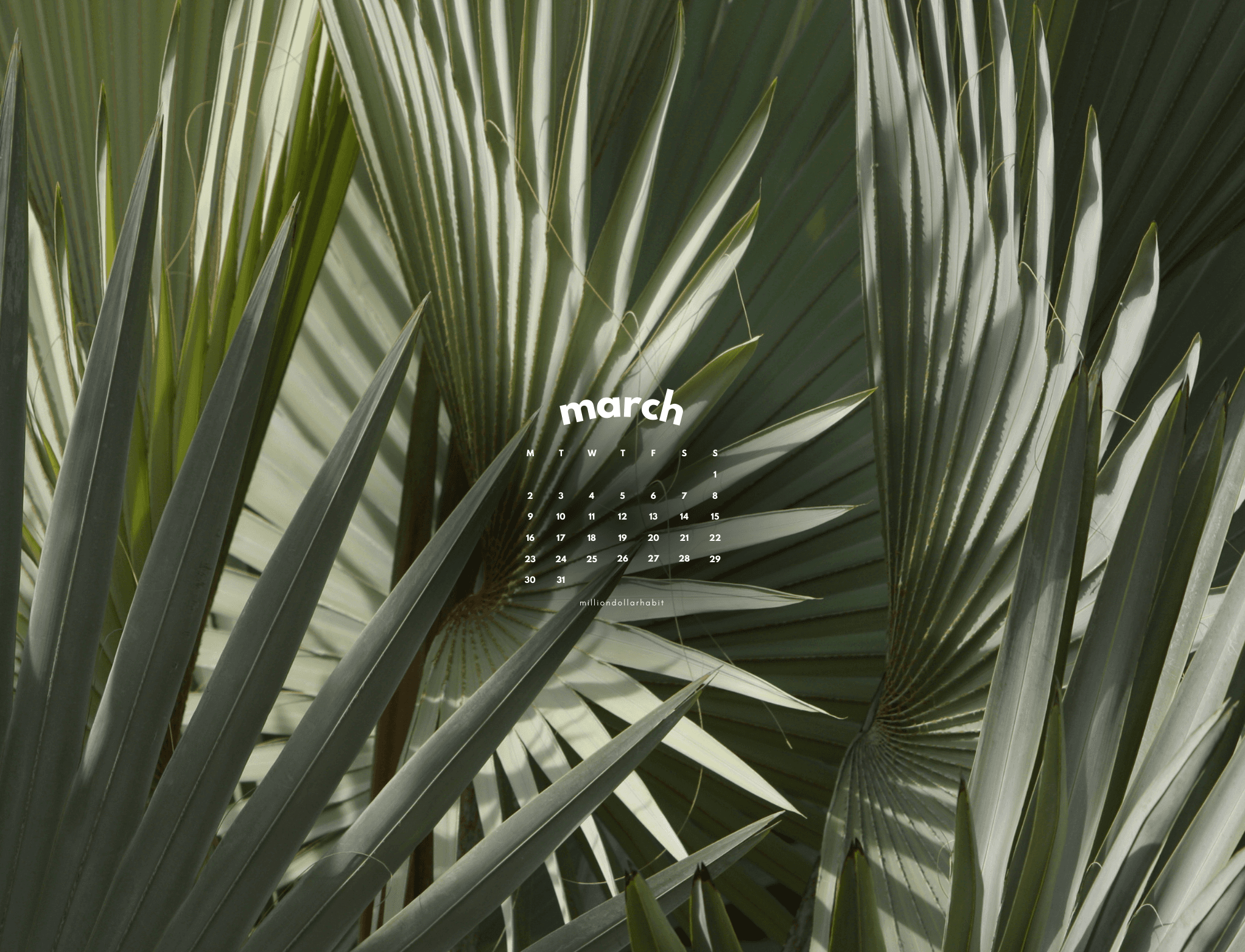 December 2025 desktop calendar wallpaper with clean typography and neutral background