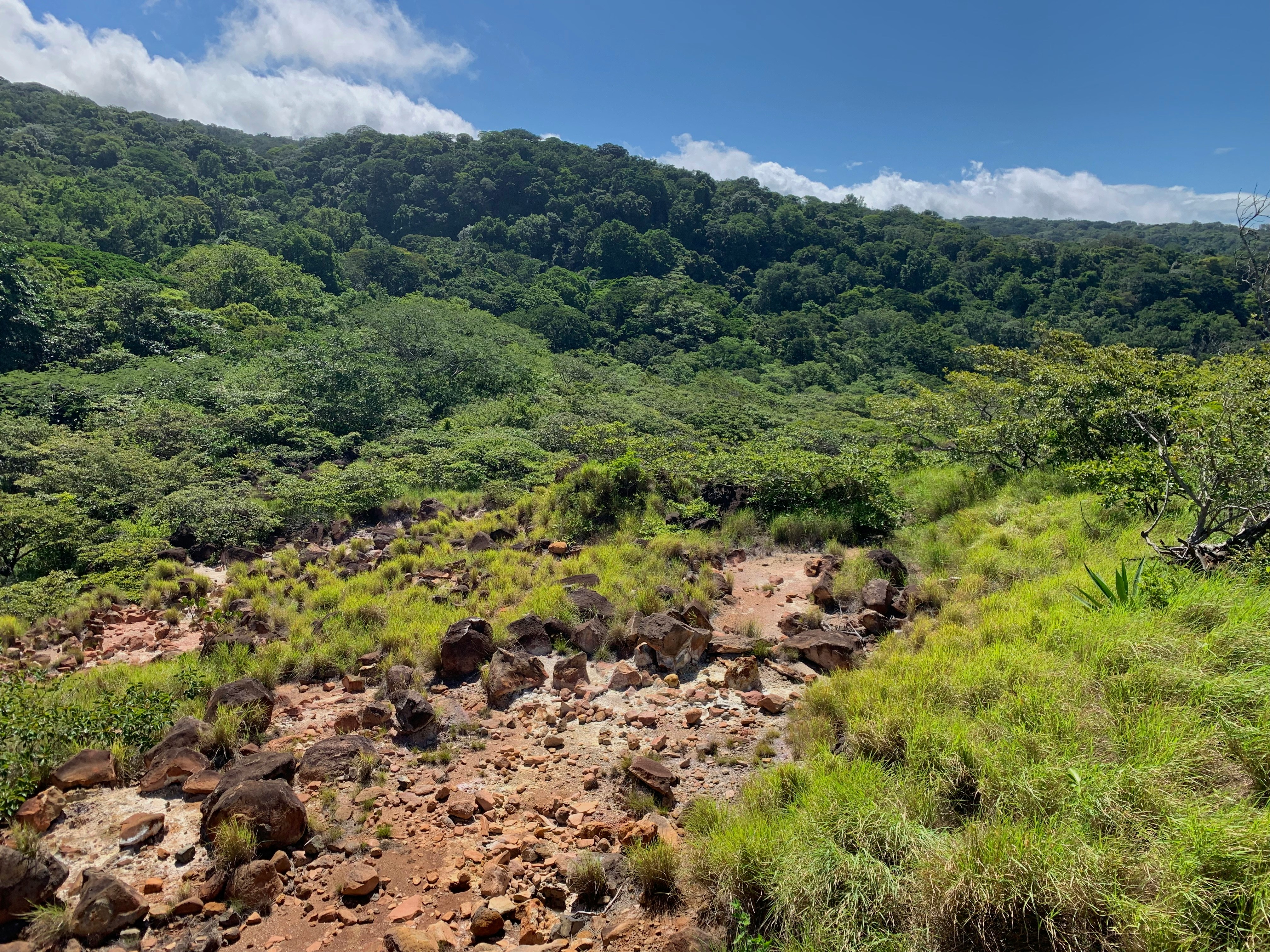 green trees on mountain under blue sky during daytime