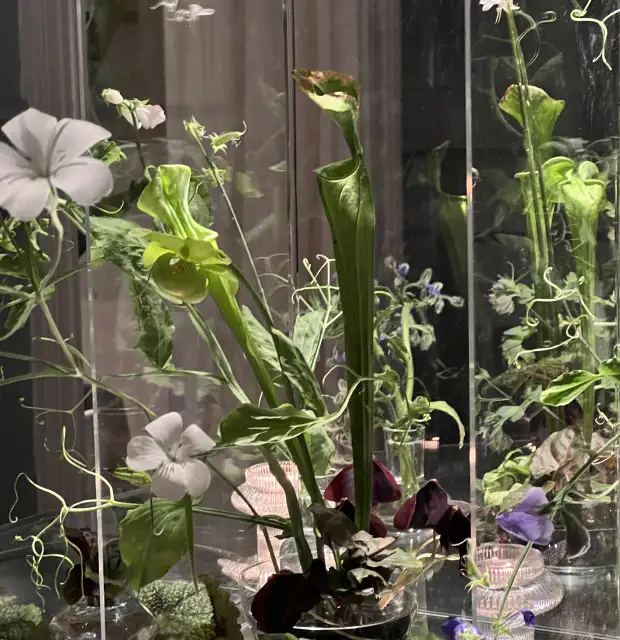 Composición floral contemporánea con flores blancas y verdes reflejadas en espejo, creada para ambientación artística interior.