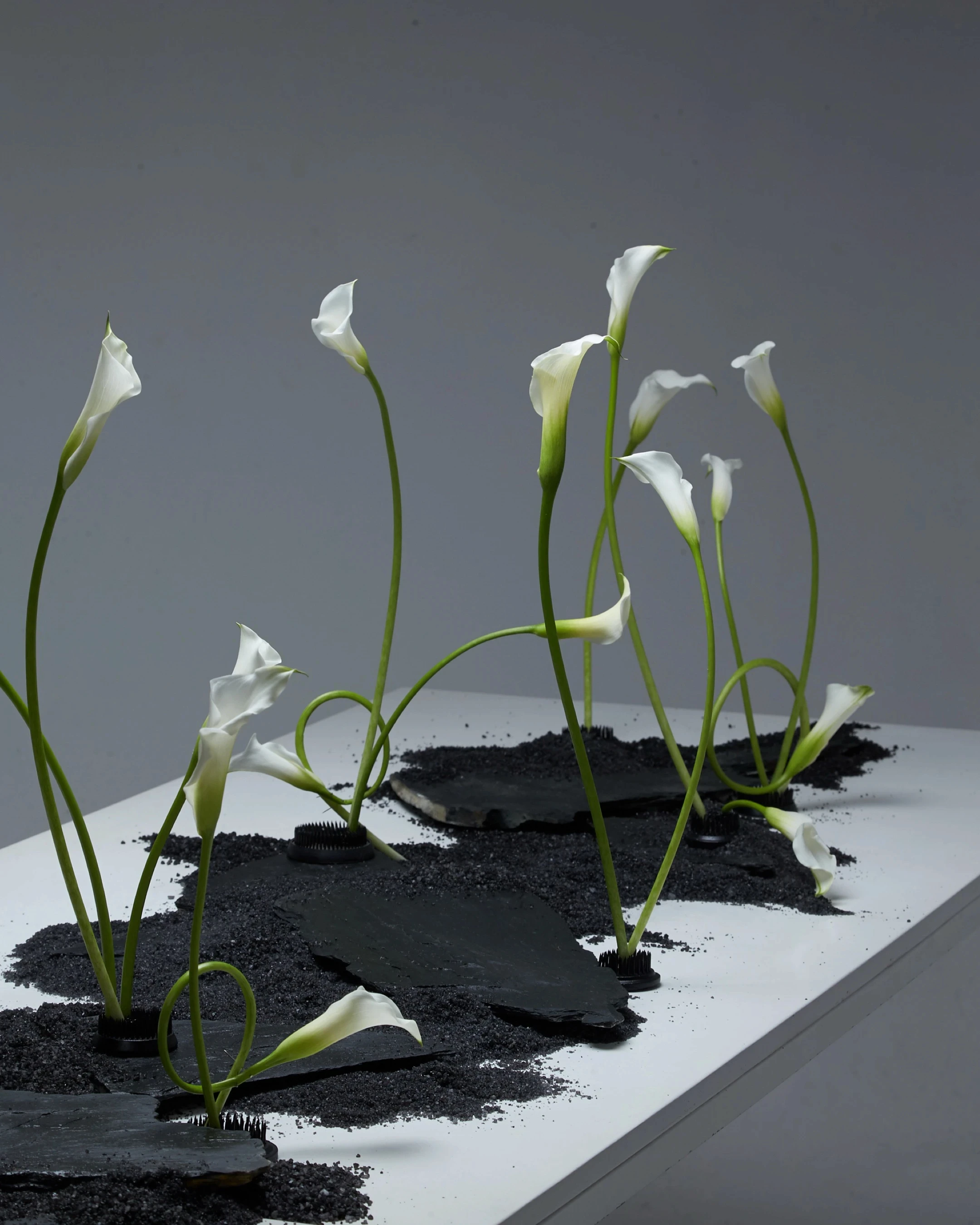 Composición de mesa baja con flores rojas, velas y libro de diseño para marcas de interiorismo que comunican calidez y estilo contemporáneo.