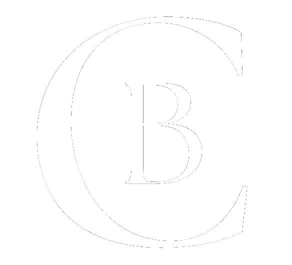 VSL Engine logo