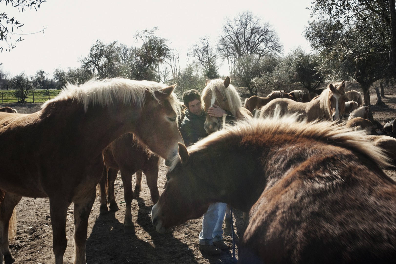 Tanya – Youth Disorder – pulling open double orange doors while staring directly forward