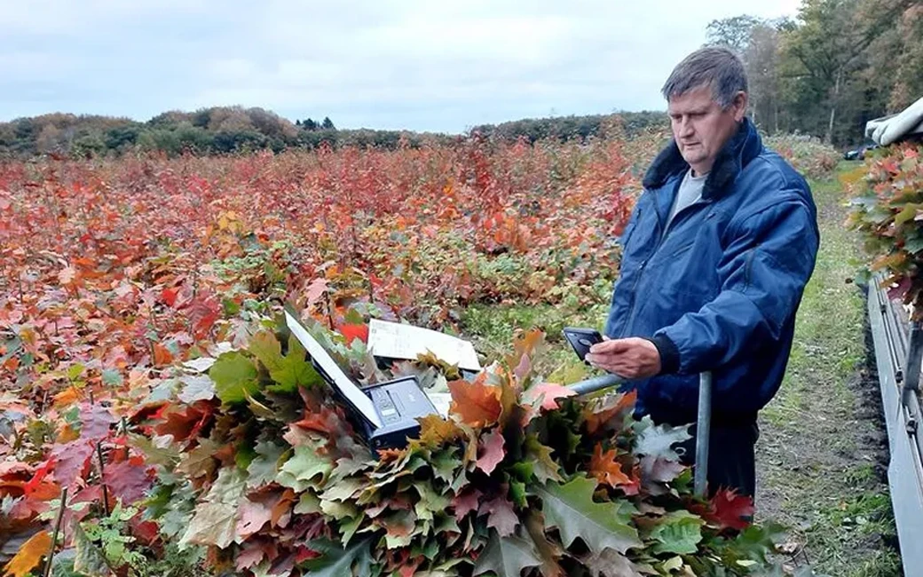 Kwekerij PWJ van de Wouw