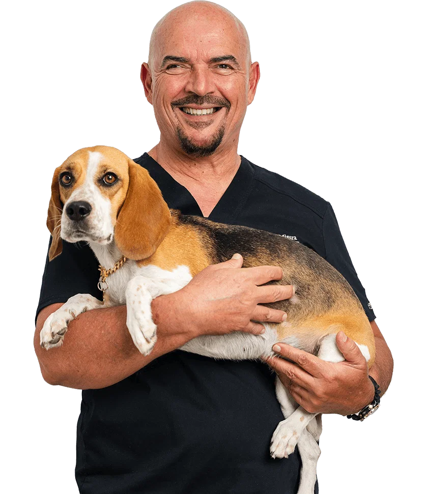 Dr. Nenad Misura: Veterinary Surgeon
