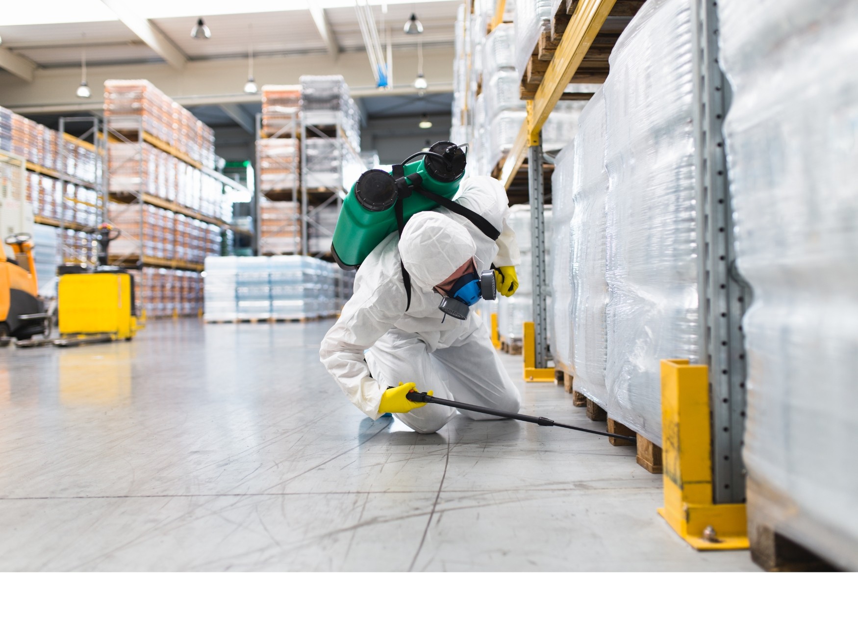 Deratiseur et desinsectisateur