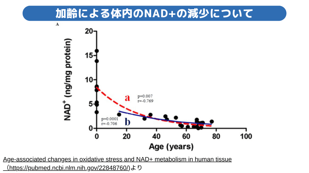 加齢により体内のNAD+が減少していく図