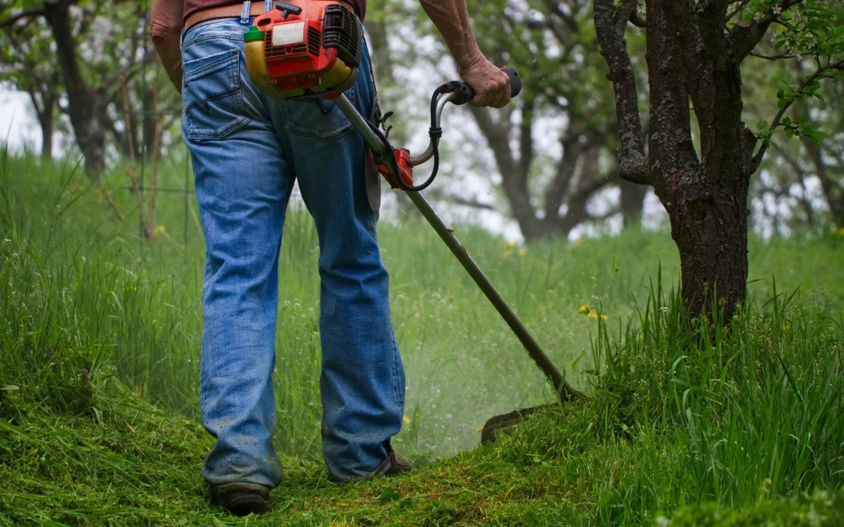 Seasonal planting