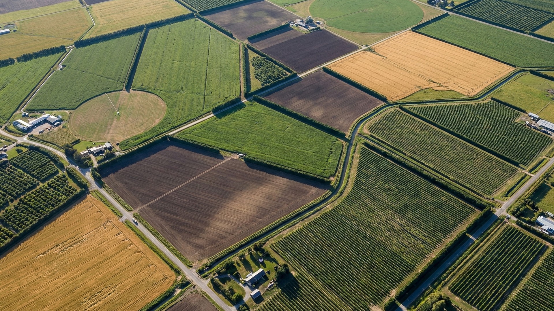 Financial&nbsp;Institutions&nbsp;& Banks