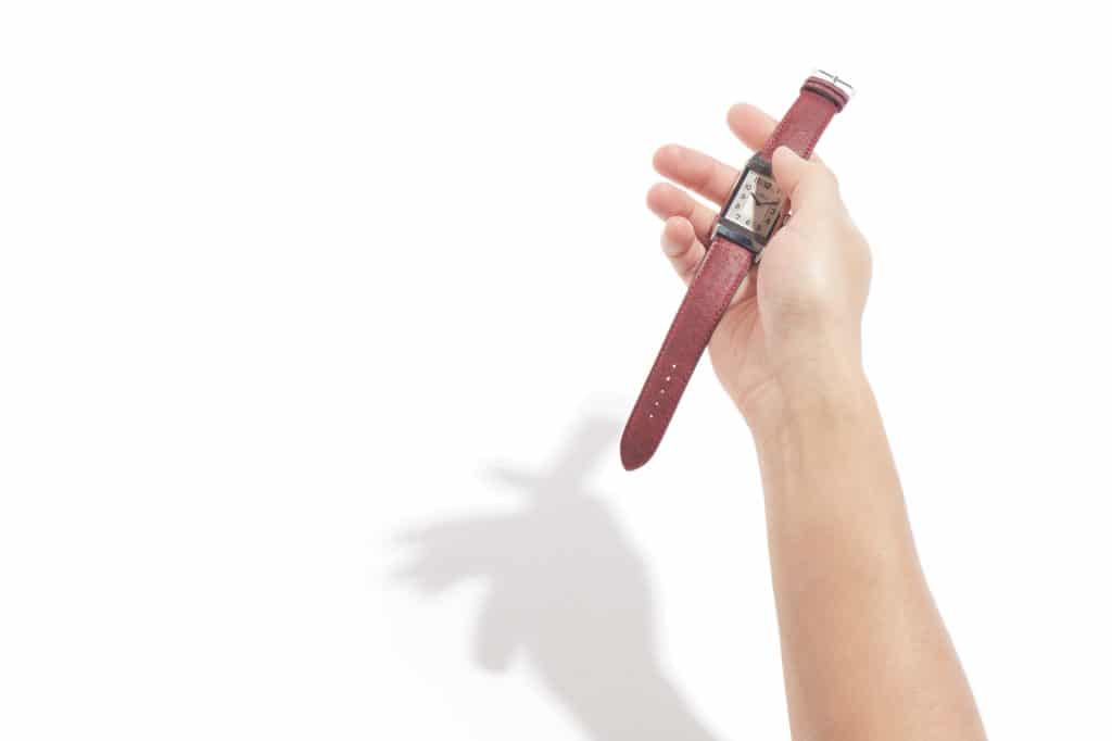 Watch band