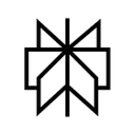 Perplexity Custom Icon