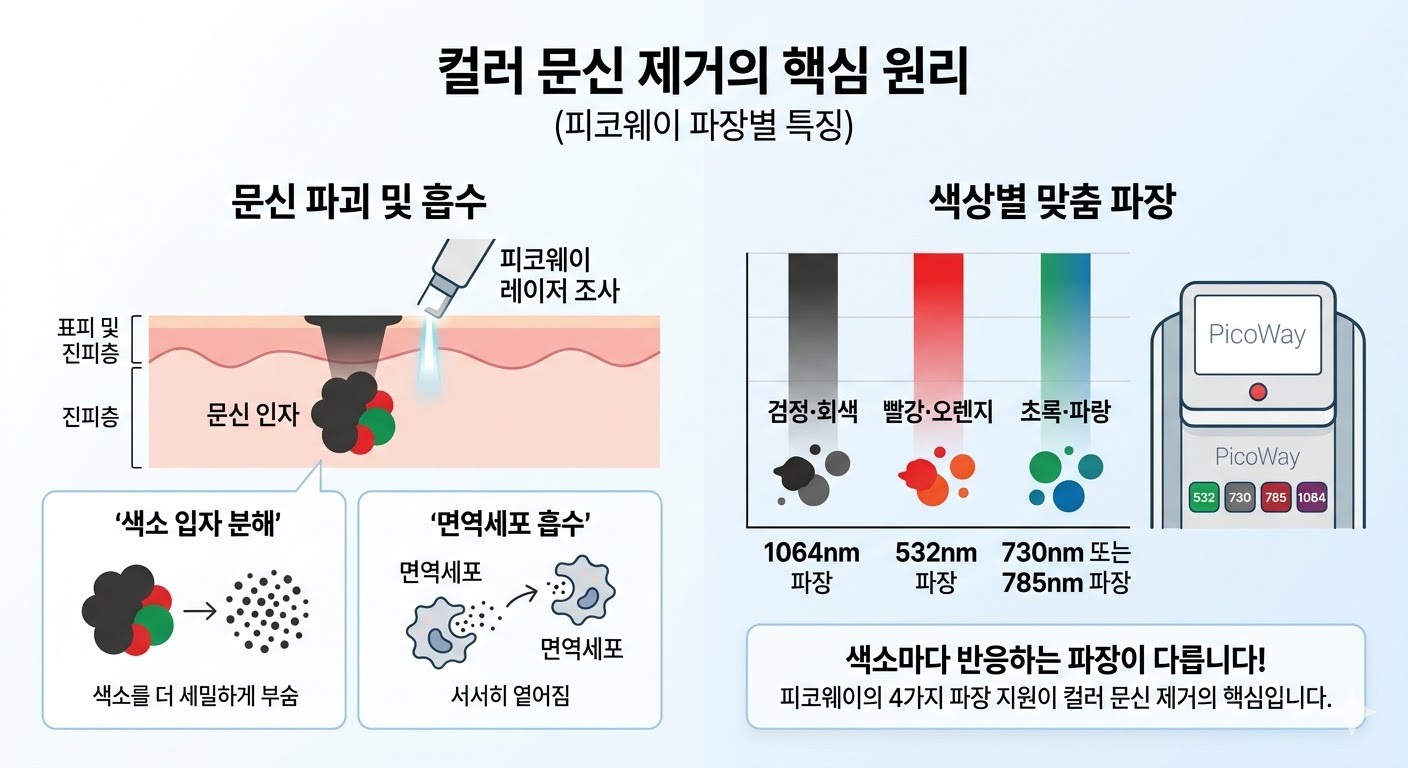 피코웨이 파장별 컬러문신 색소 반응 원리 설명   — 합정 뷰티스톤의원