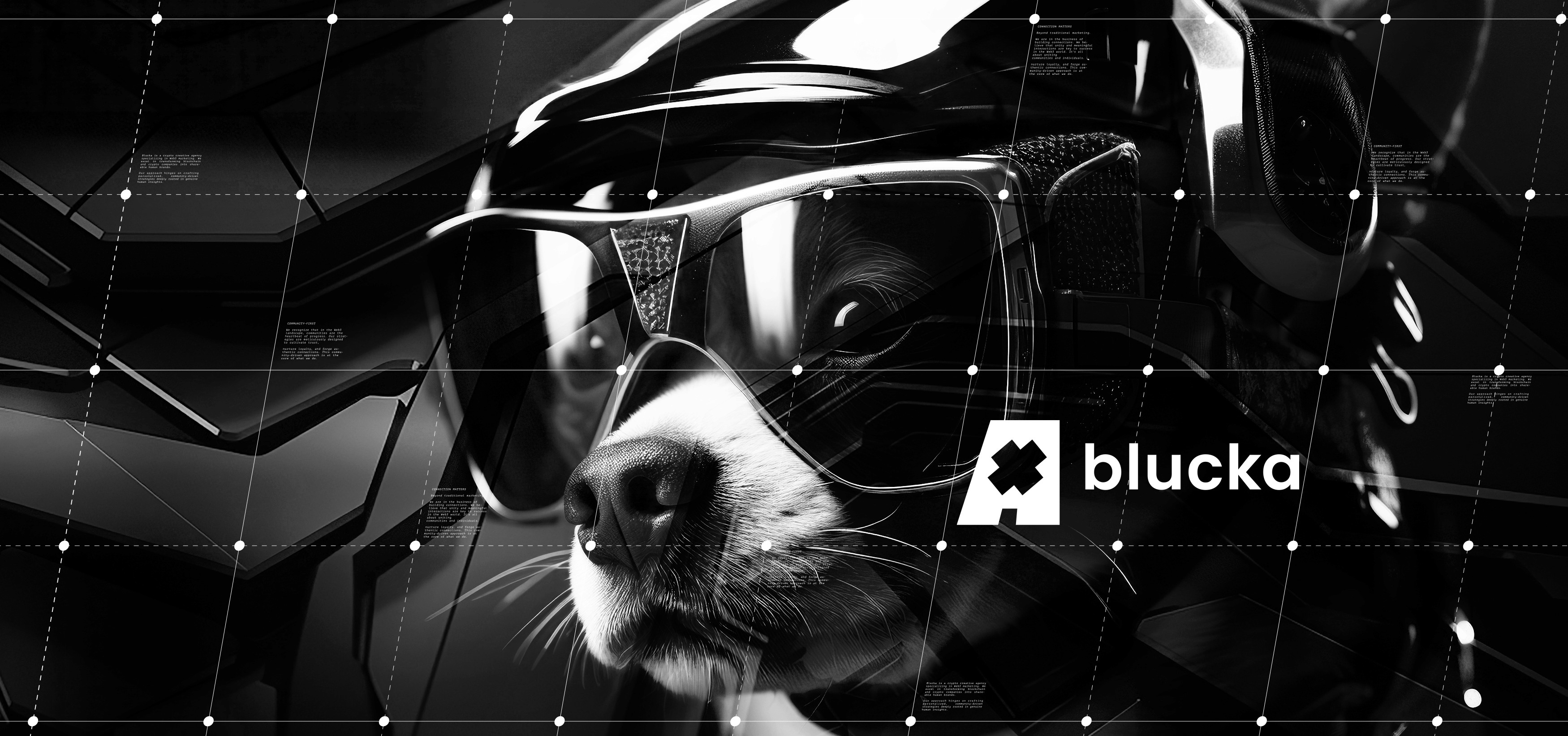 blucka - Meme Coin Marketing Strategy: Beyond the Hype