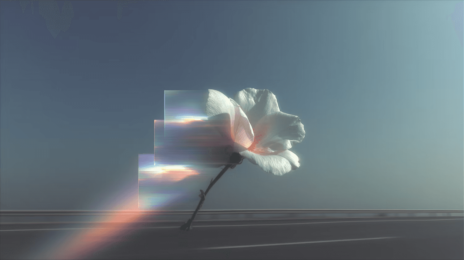 A surreal image of a white flower with digital glitch effects, set against a gradient sky and a blurred highway in the background.