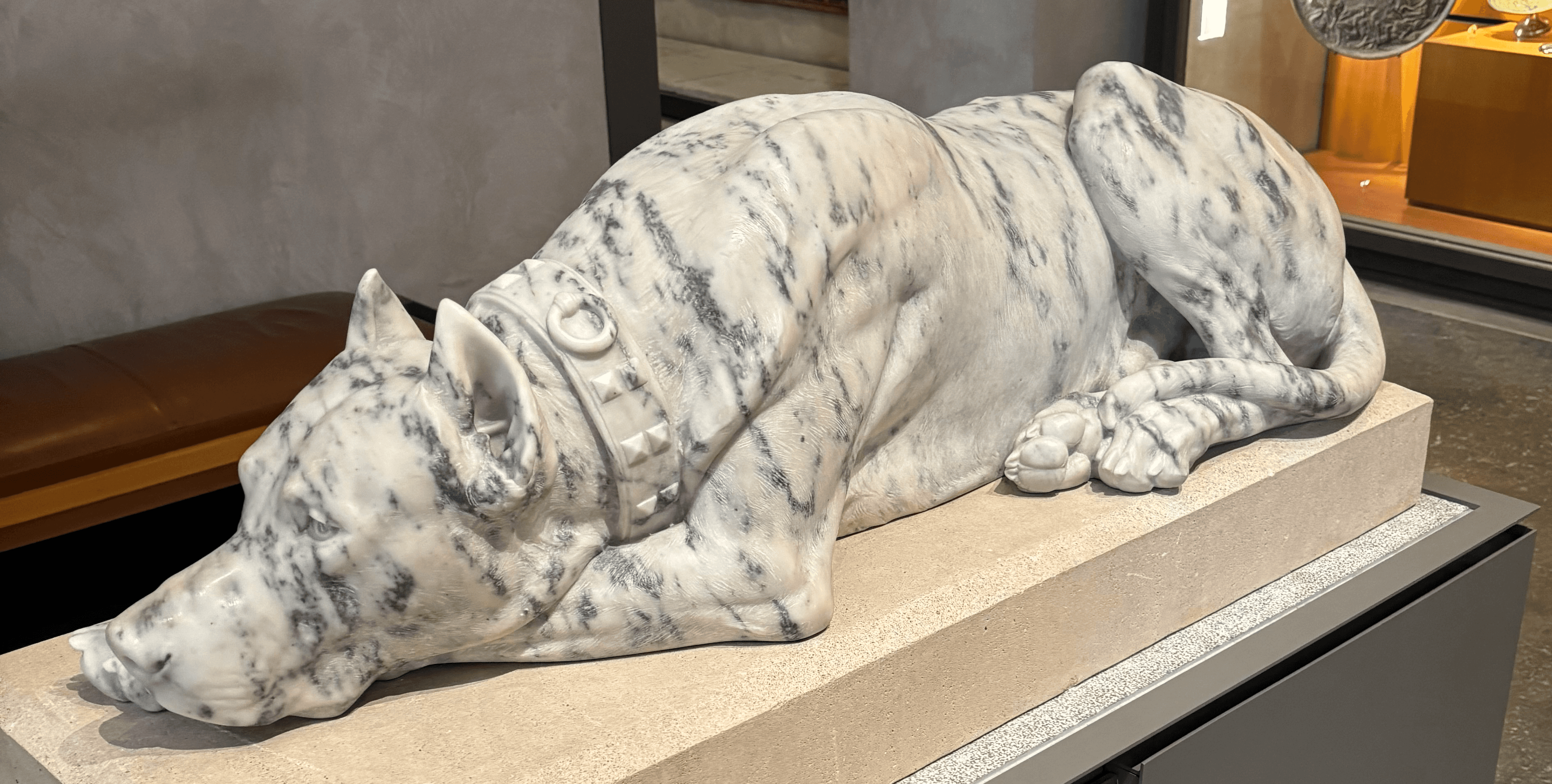 Vue de trois quarts avant de la sculpture "Chien danois" de Georges Gardet (1898), marbre veiné gris, Musée des Beaux-Arts de Lyon. Dogue allemand couché, tête posée sur la patte, avec vitrine de sculptures en arrière-plan.