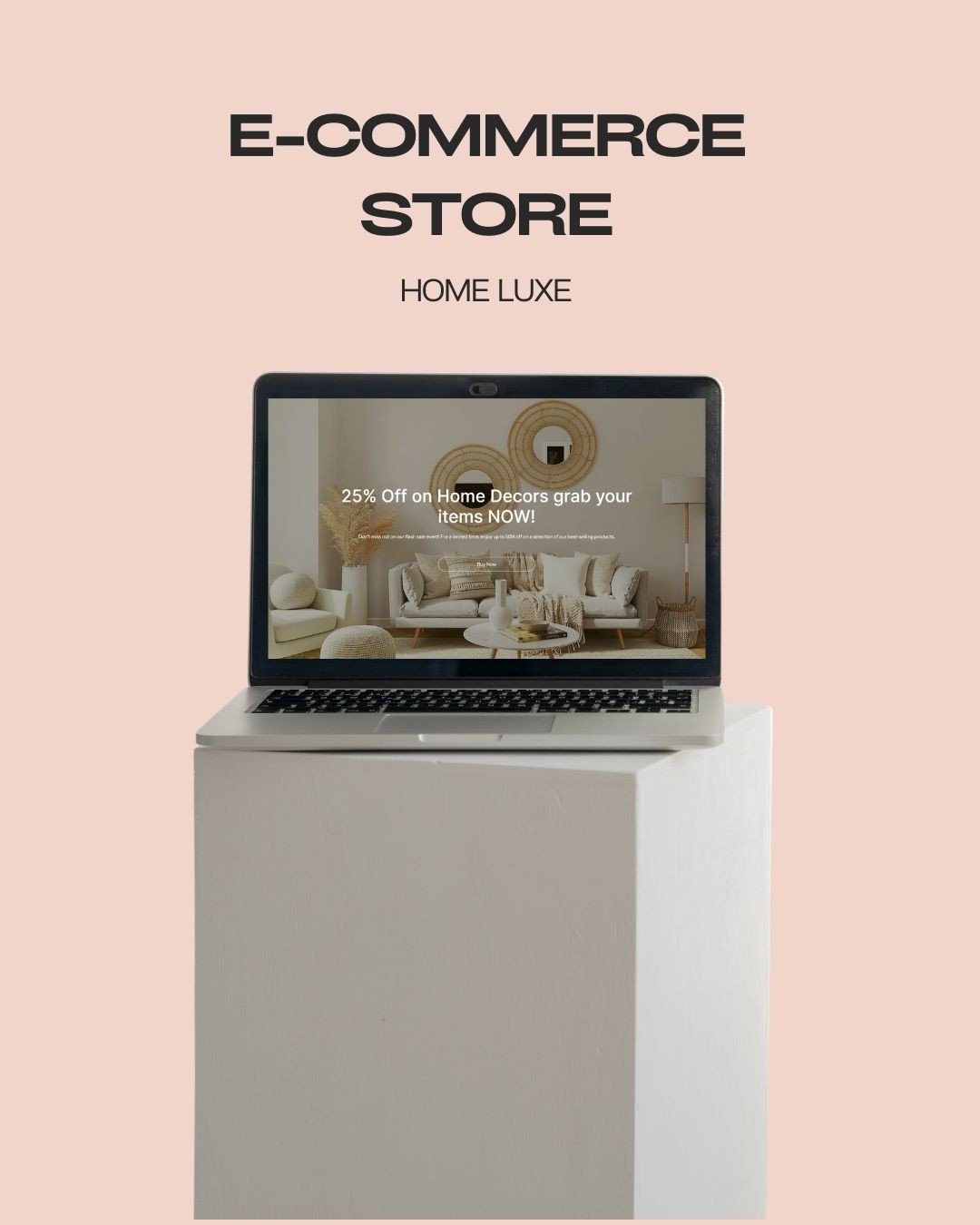 Ecommerce Website development