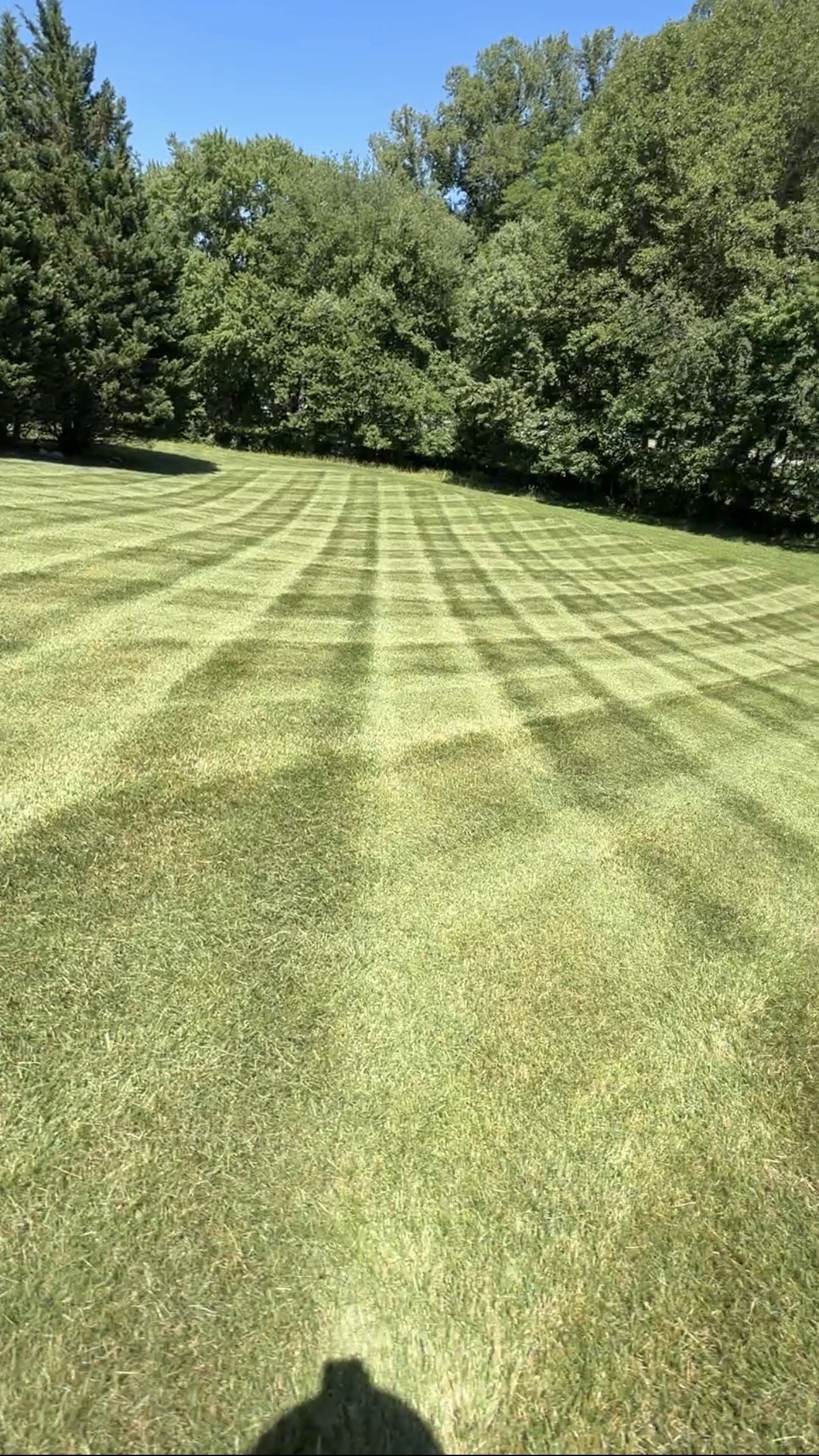 Property after cleanup and turf refresh