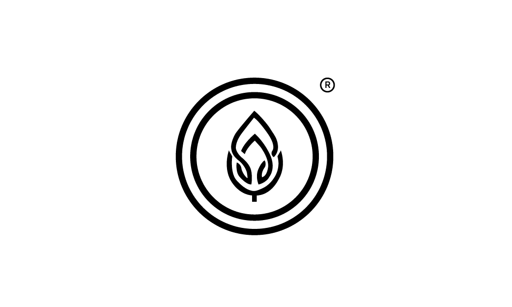 profile image of Roaa Alhaj Saleh