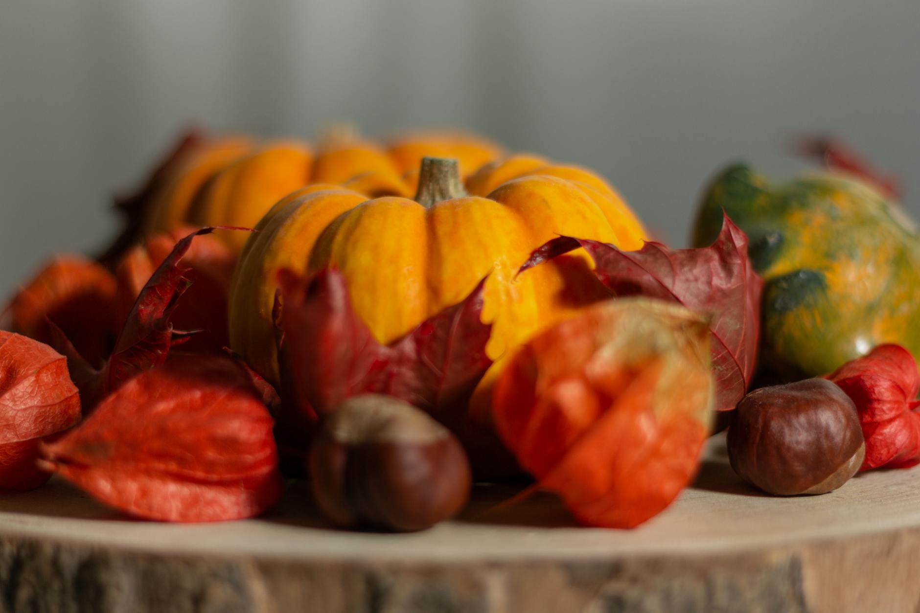 A festive classroom display featuring autumn leaves, pumpkins, and winter-themed i can read books level 2 covers.