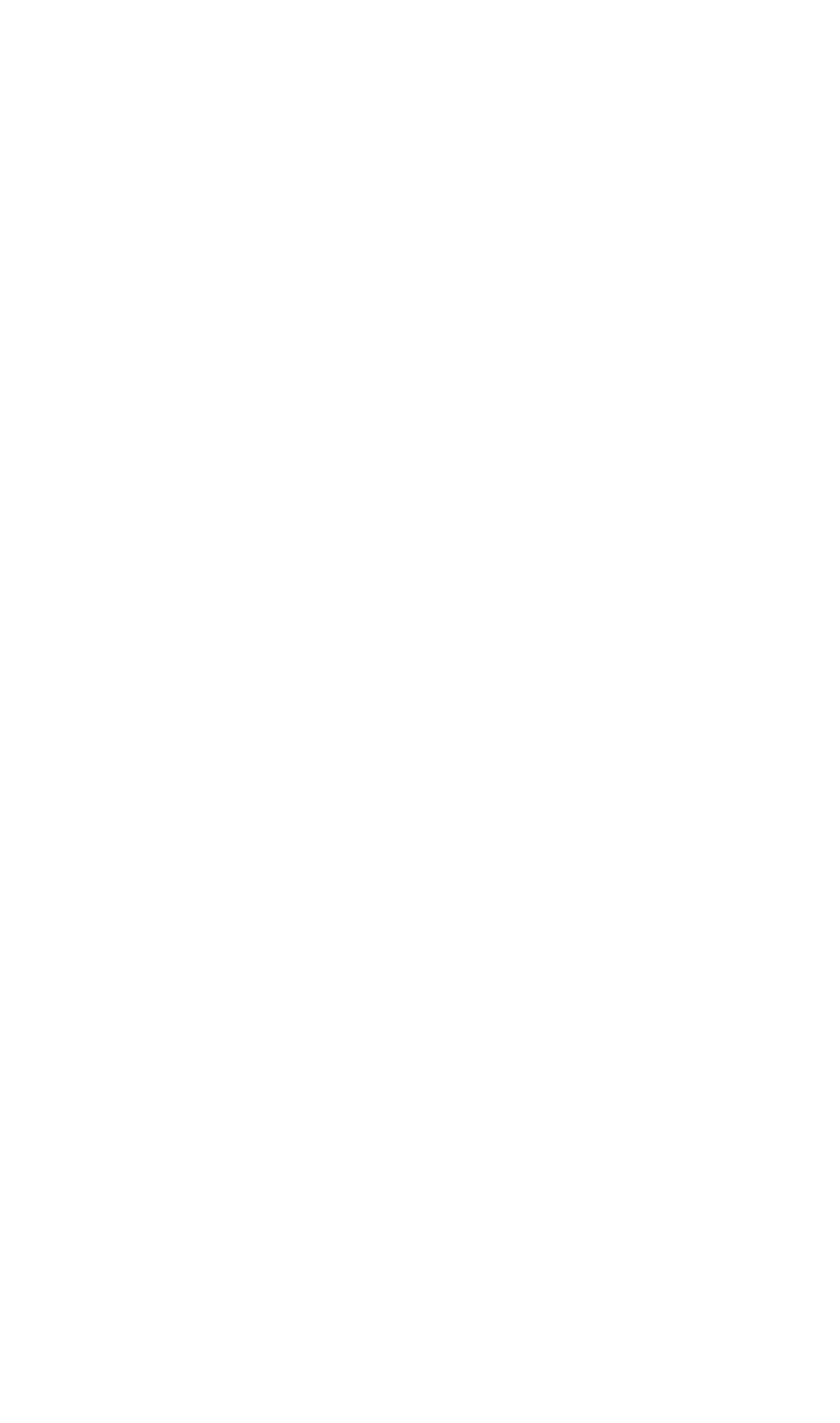 Drone house logo