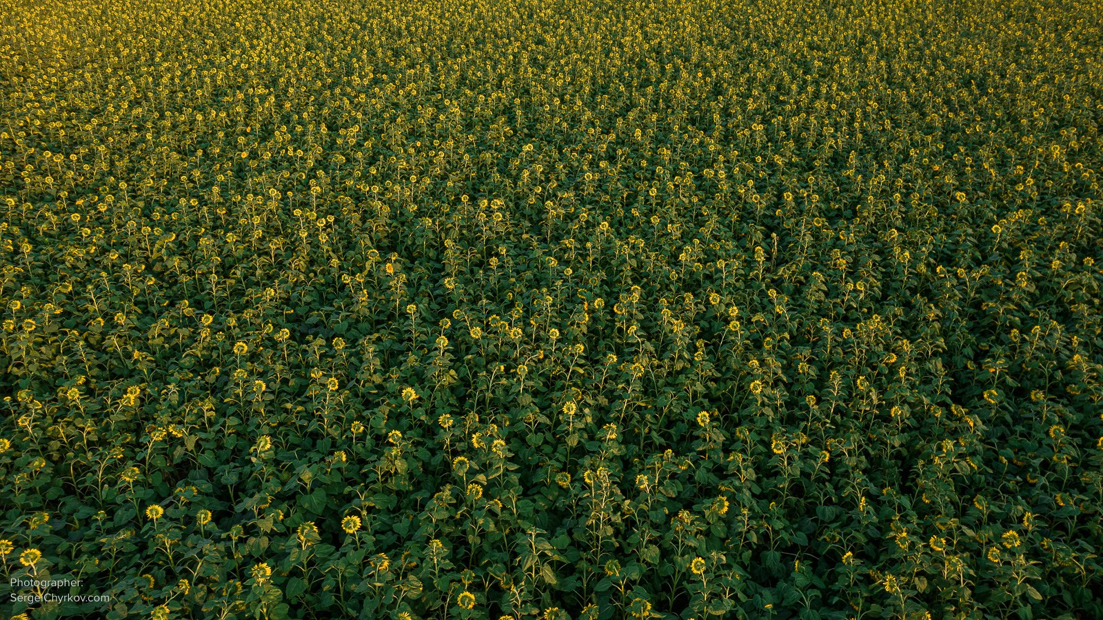 Затока, Одесса, съемка на DJI Air 2S, фотограф Сергей Чирков