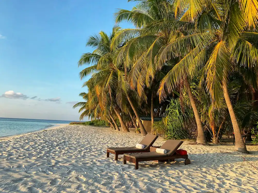 Zwei Liegen auf einem Strand mit Meer und Palmen