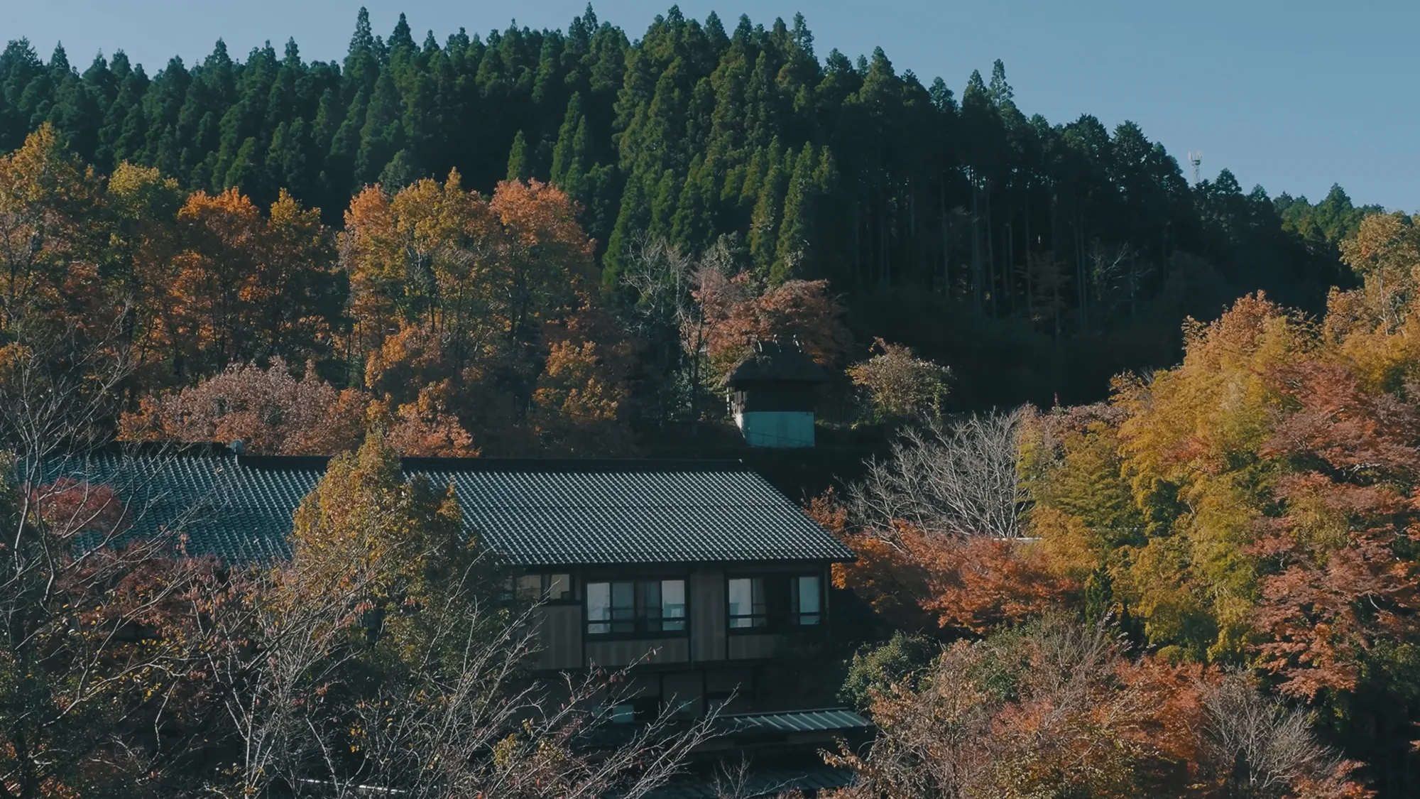 An inn roof at Kurokawa Onsen among cedar and autumn colour