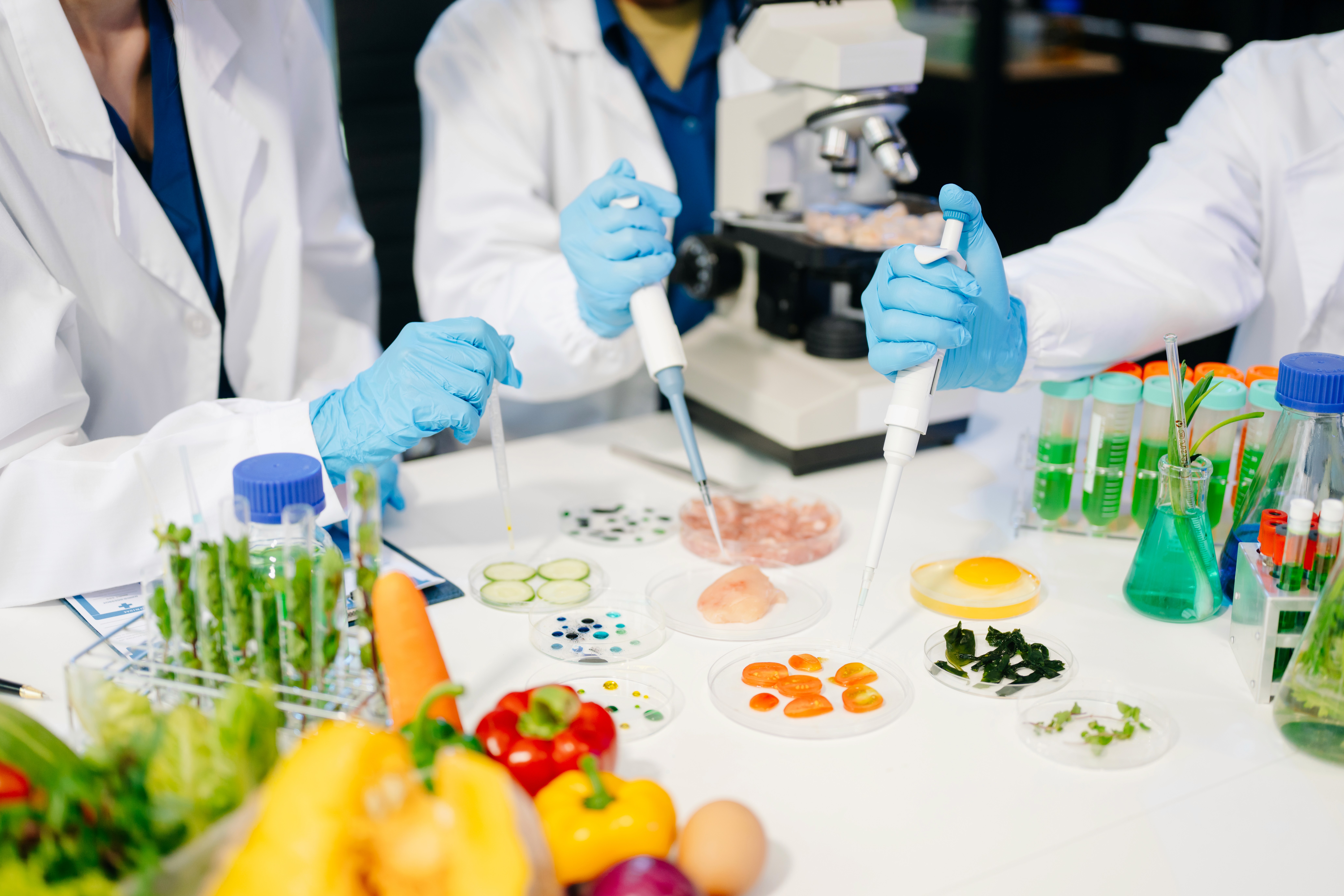 The image featured in the middle of the about us page