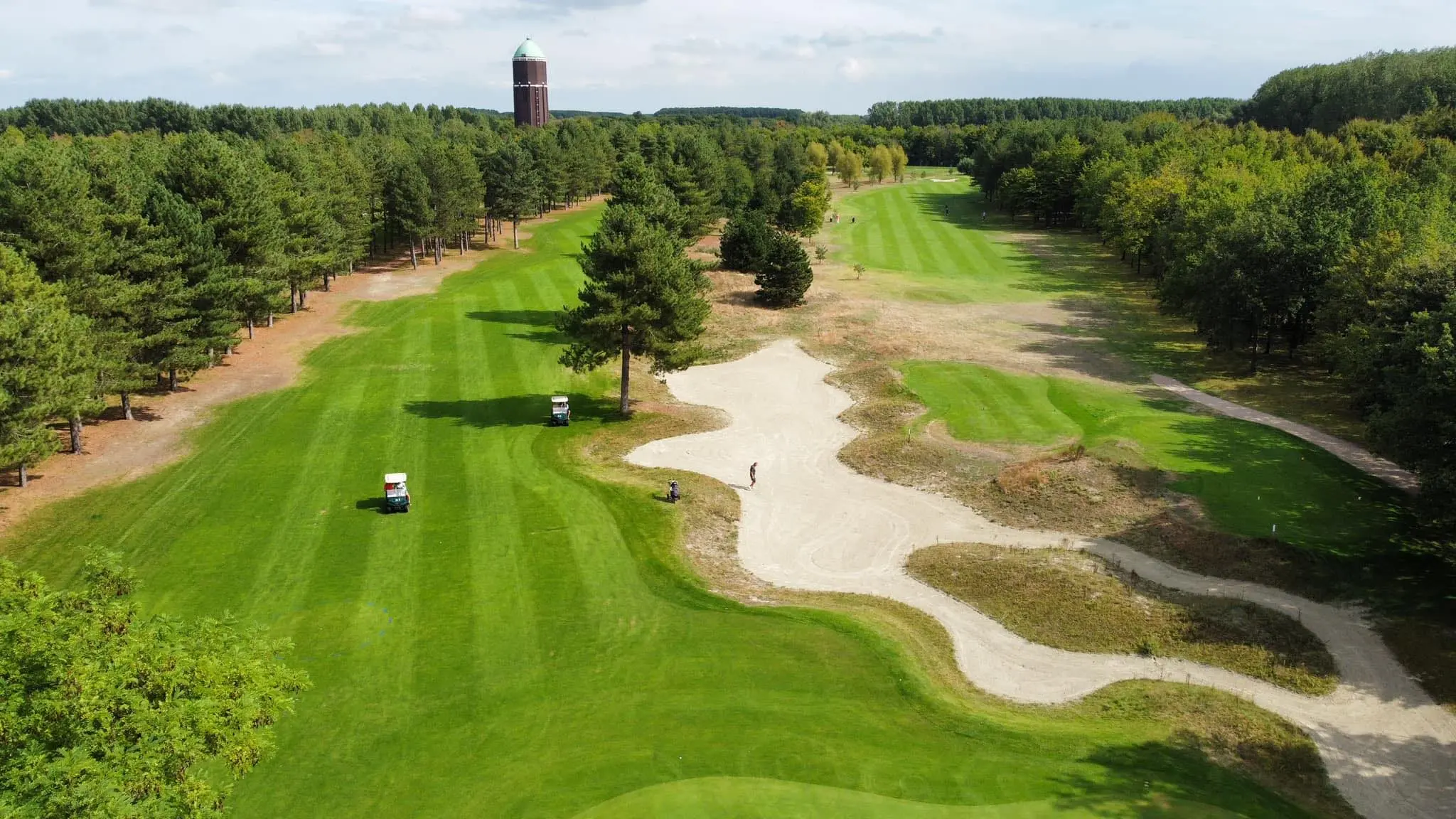 People in the office