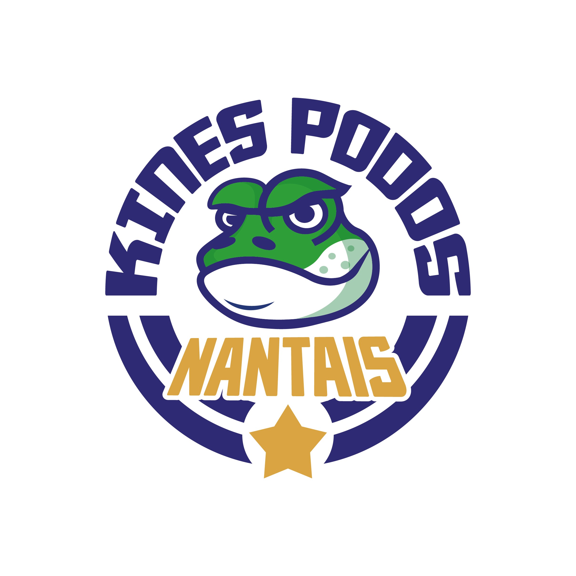 Logo of BDS de l'IFM3R