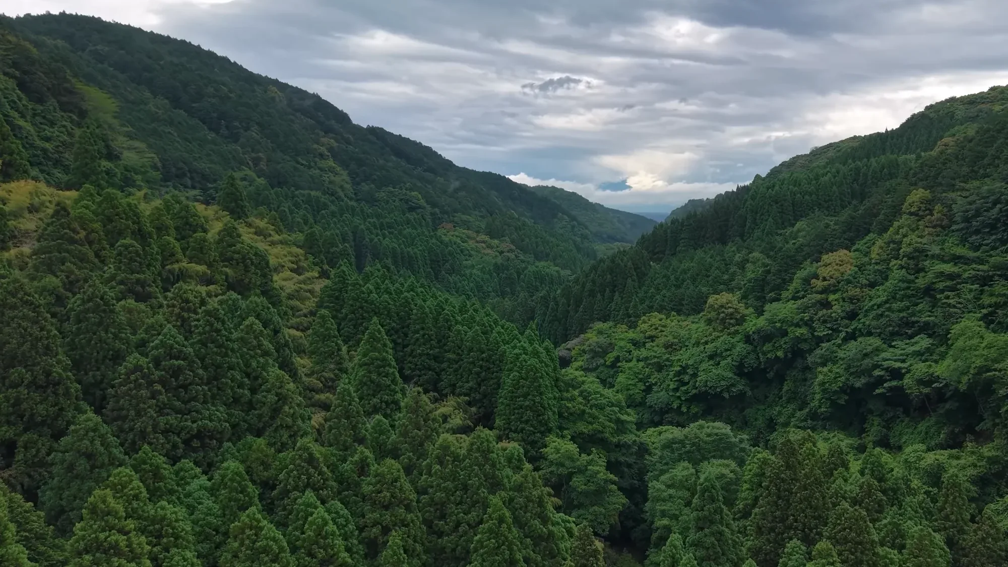 A forested valley under low cloud on the caldera rim near Kurokawa Onsen