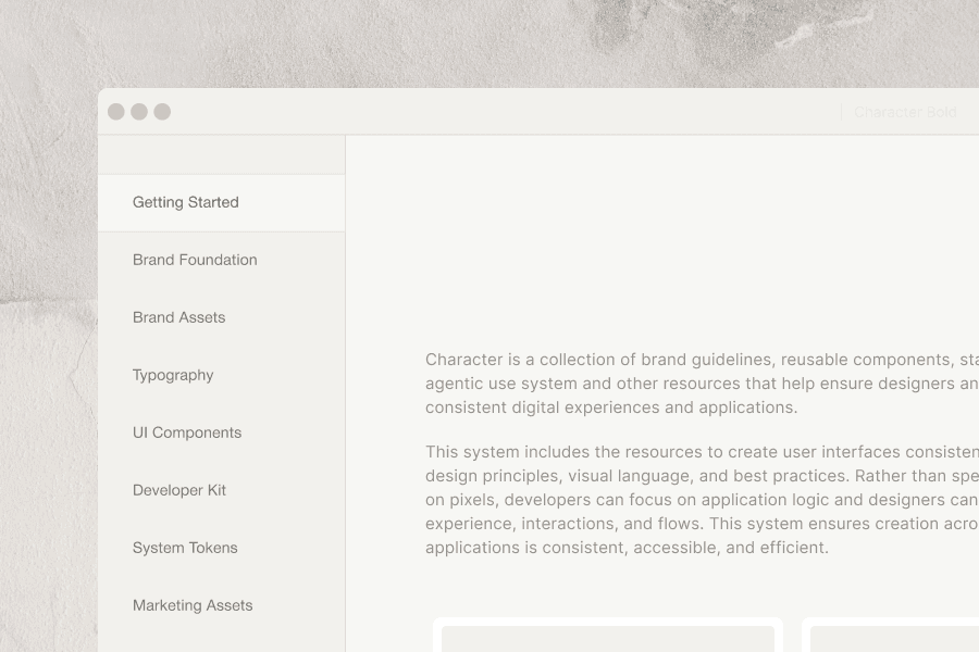 Character design-system documentation interface — Saad Minhas Studio