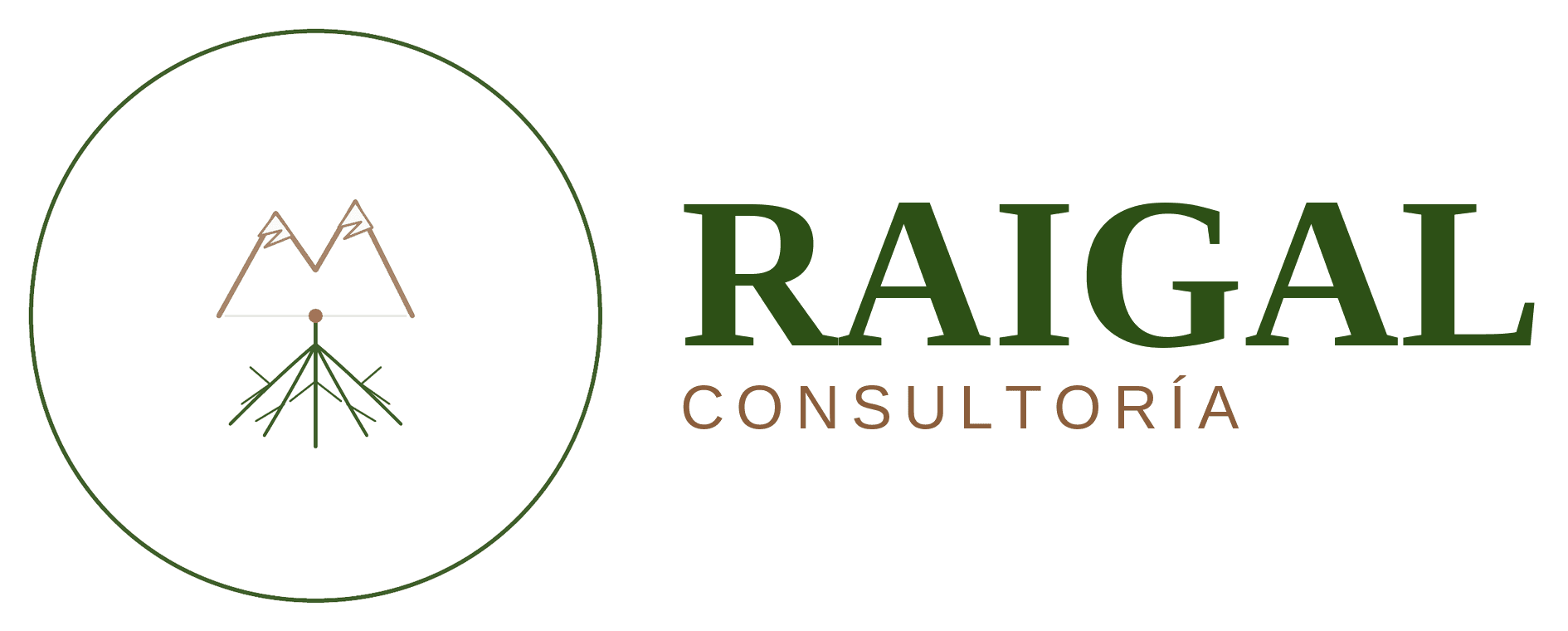 Raigal Consultoria