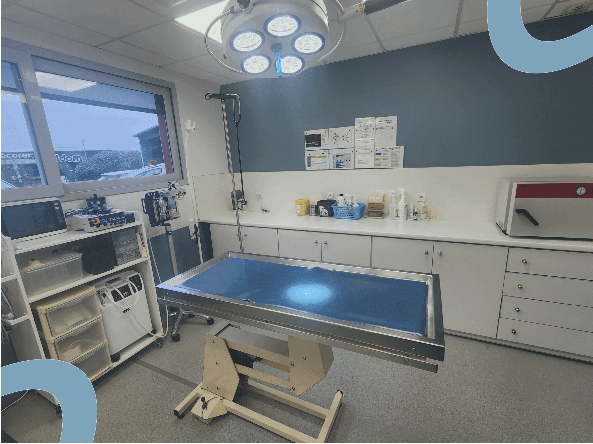 Salle d'opération canine