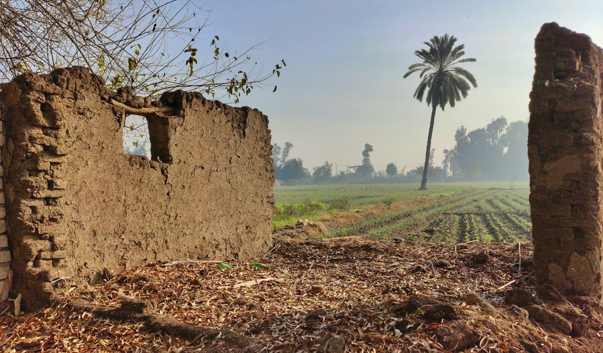 Farm and ruins in Egypt
