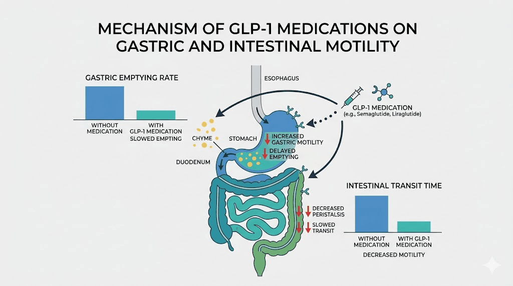 How GLP-1 medications affect digestive system and cause constipation