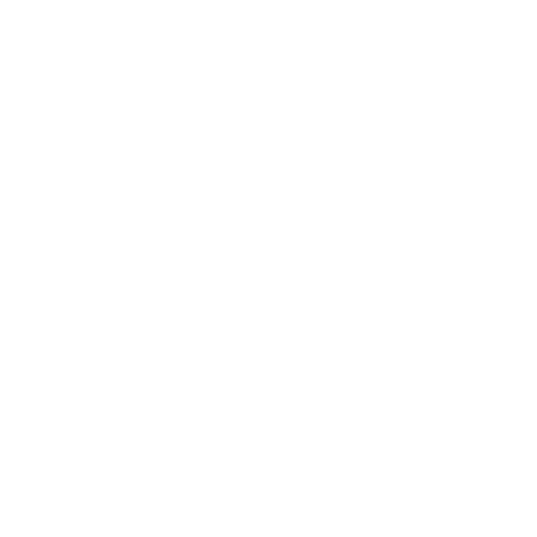 Stopwatch icon