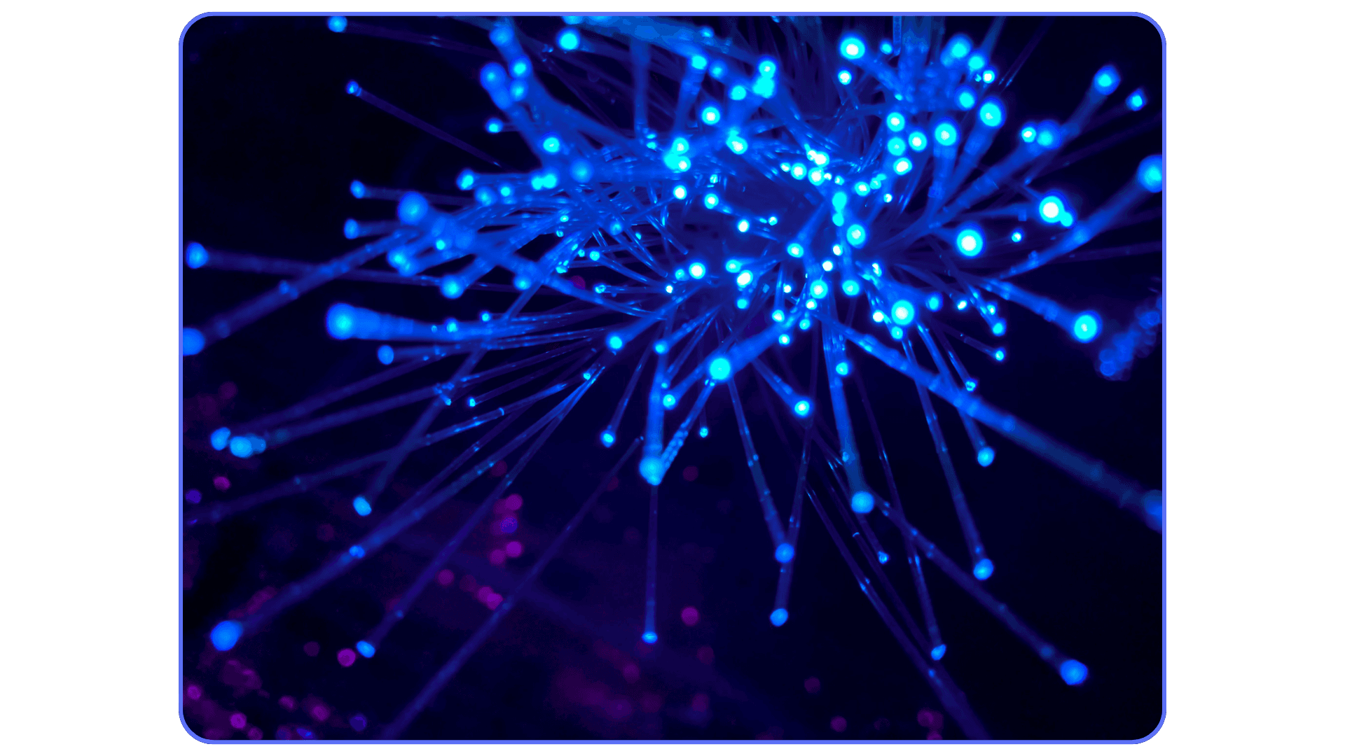 Close-up view of glowing blue fiber optic cables representing high-speed data transmission and network connectivity.
