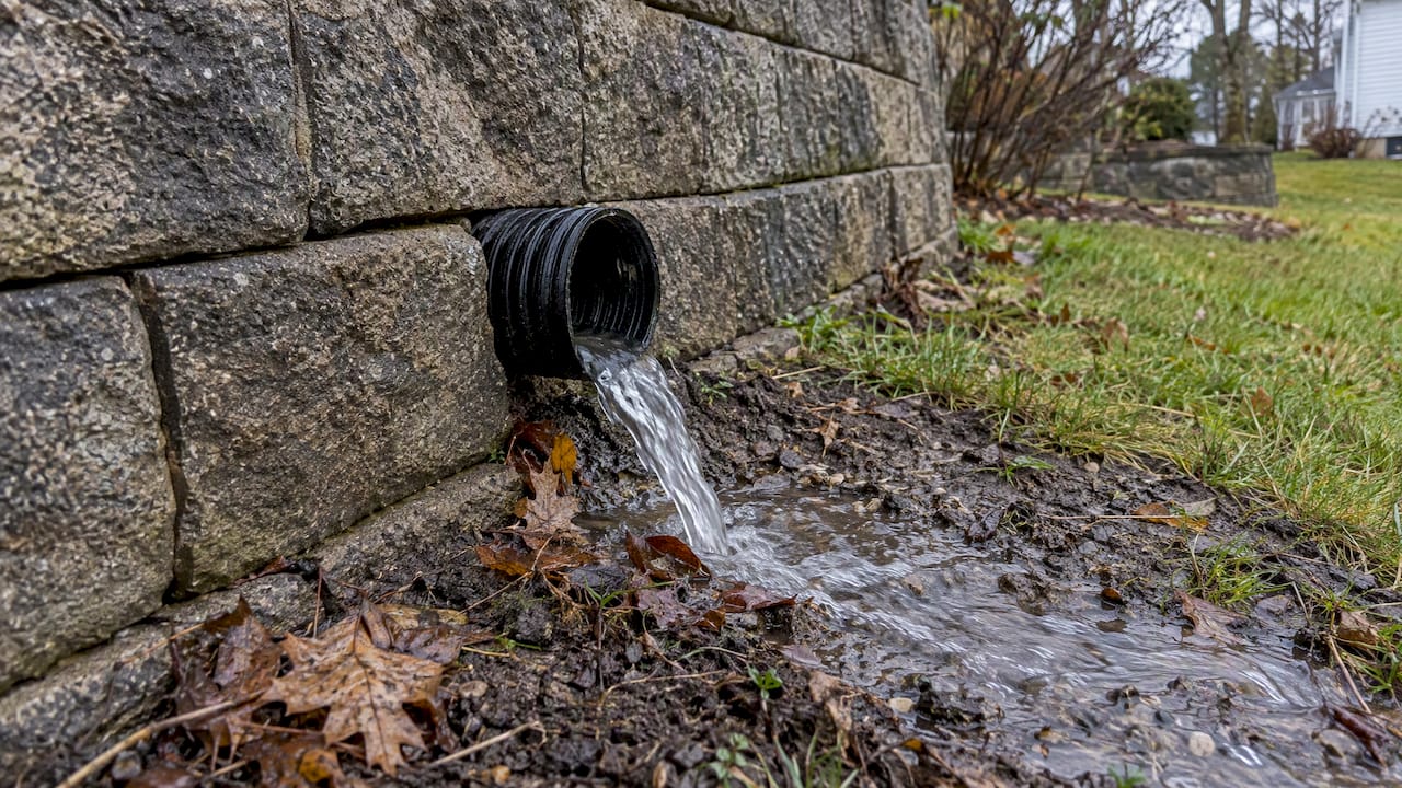 A drain outlet discharging clear water from the base of a block retaining wall onto grass