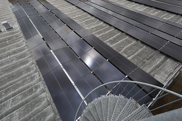 Gardener team at work