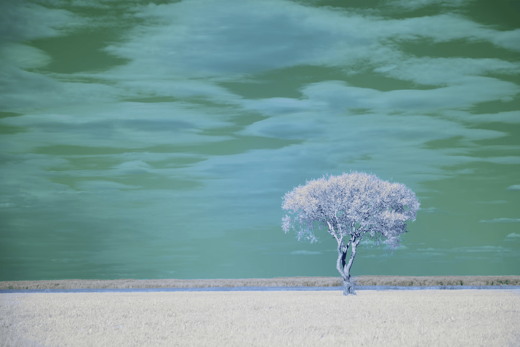 A solitary tree stands against a green sky