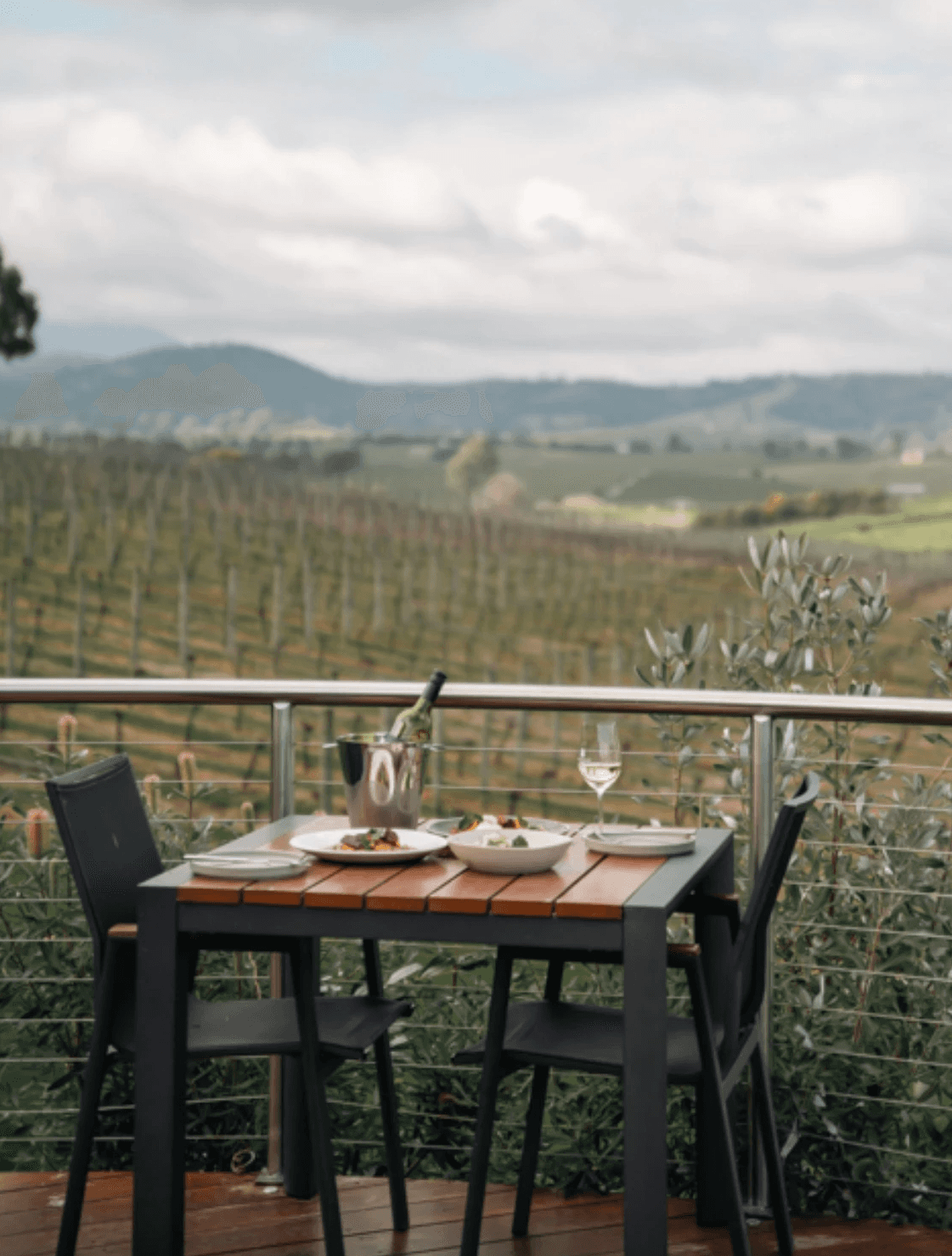 Balgownie Estate Winery Yarra Valley