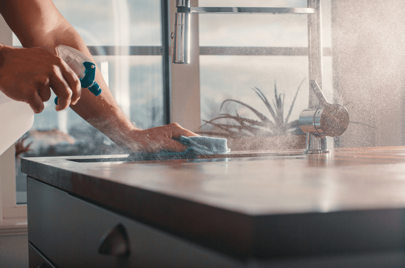 Modern landscaped garden showcasing professional outdoor design.