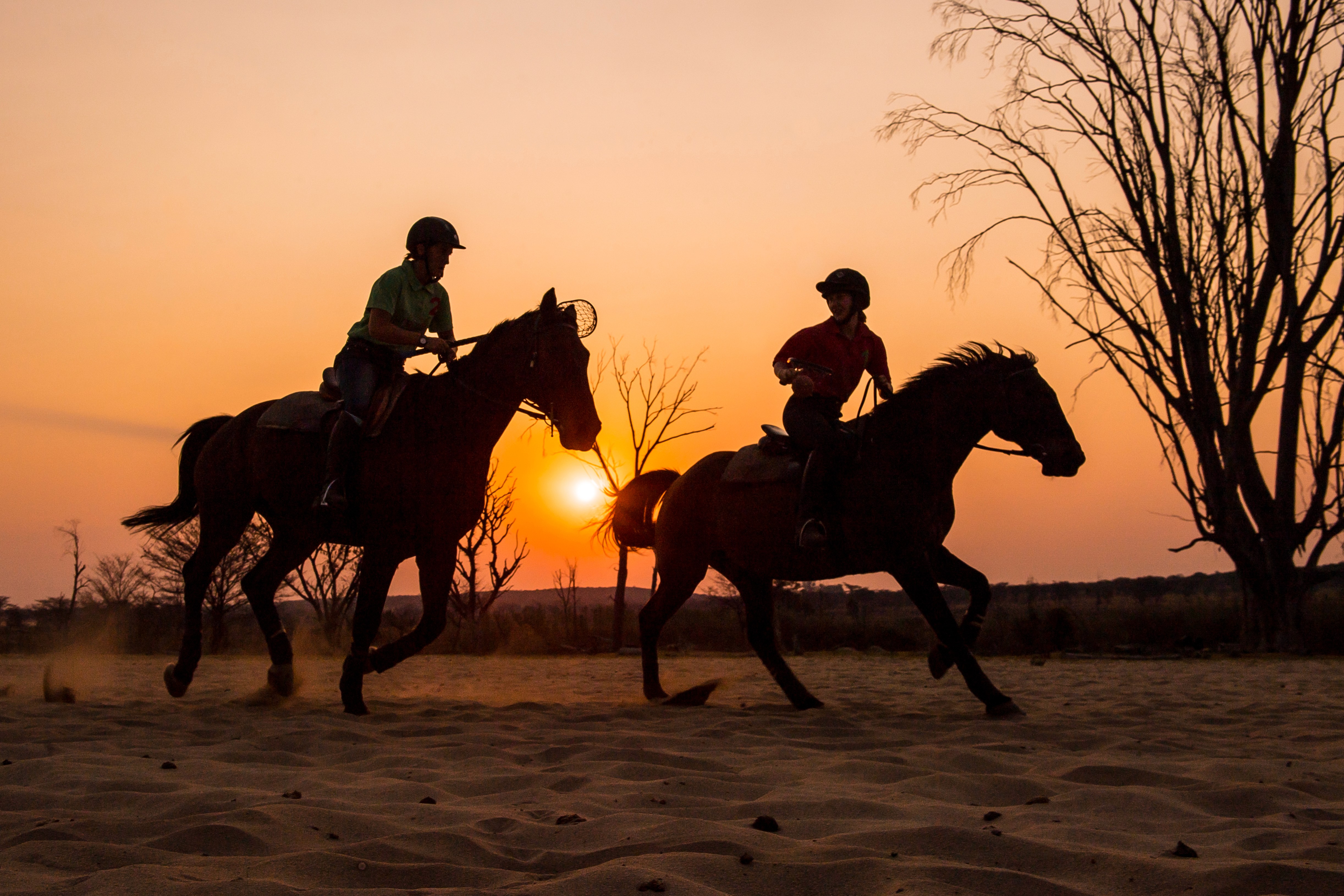 Ridsafari i Waterberg, Sydafrika – två ryttare spelar polocrosse till häst i den afrikanska solnedgången.