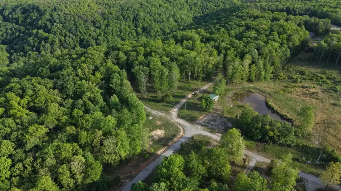 Aerial view of wooded hills with a gravel road and a pond