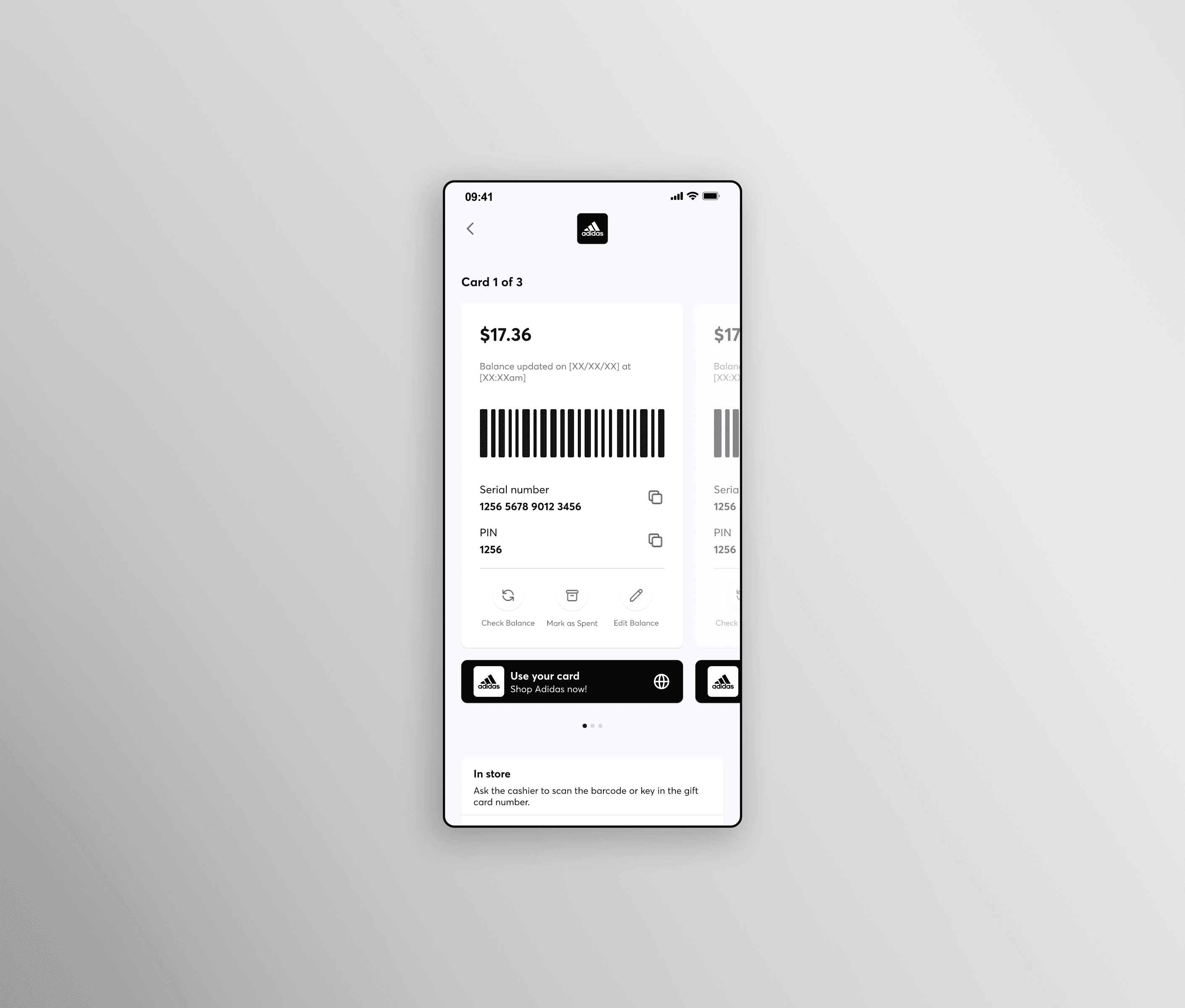 Large Project Gallery Image #3