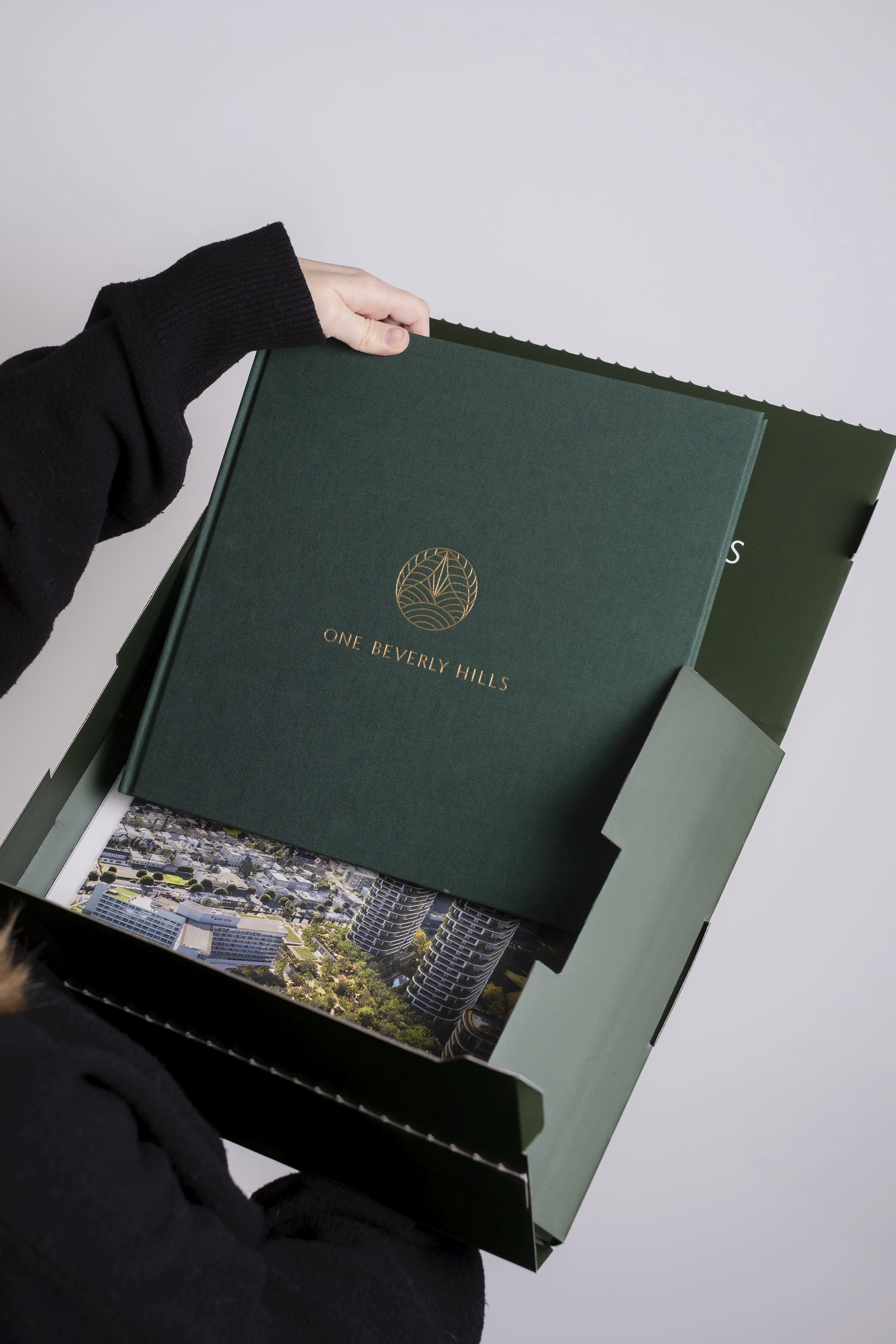 Dom Pérignon vineyards from the sky