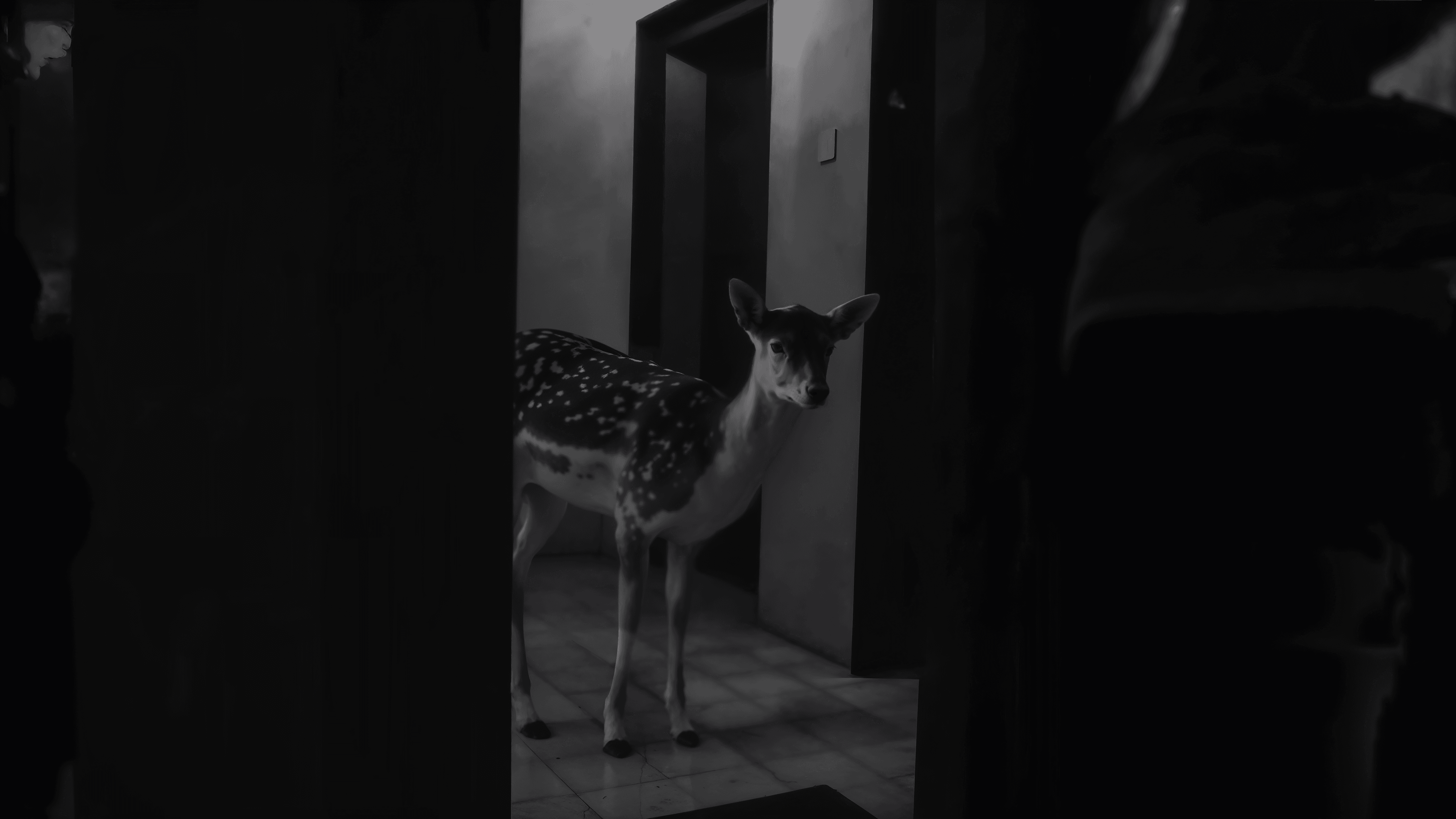 a frame from the film "Apex Predator"