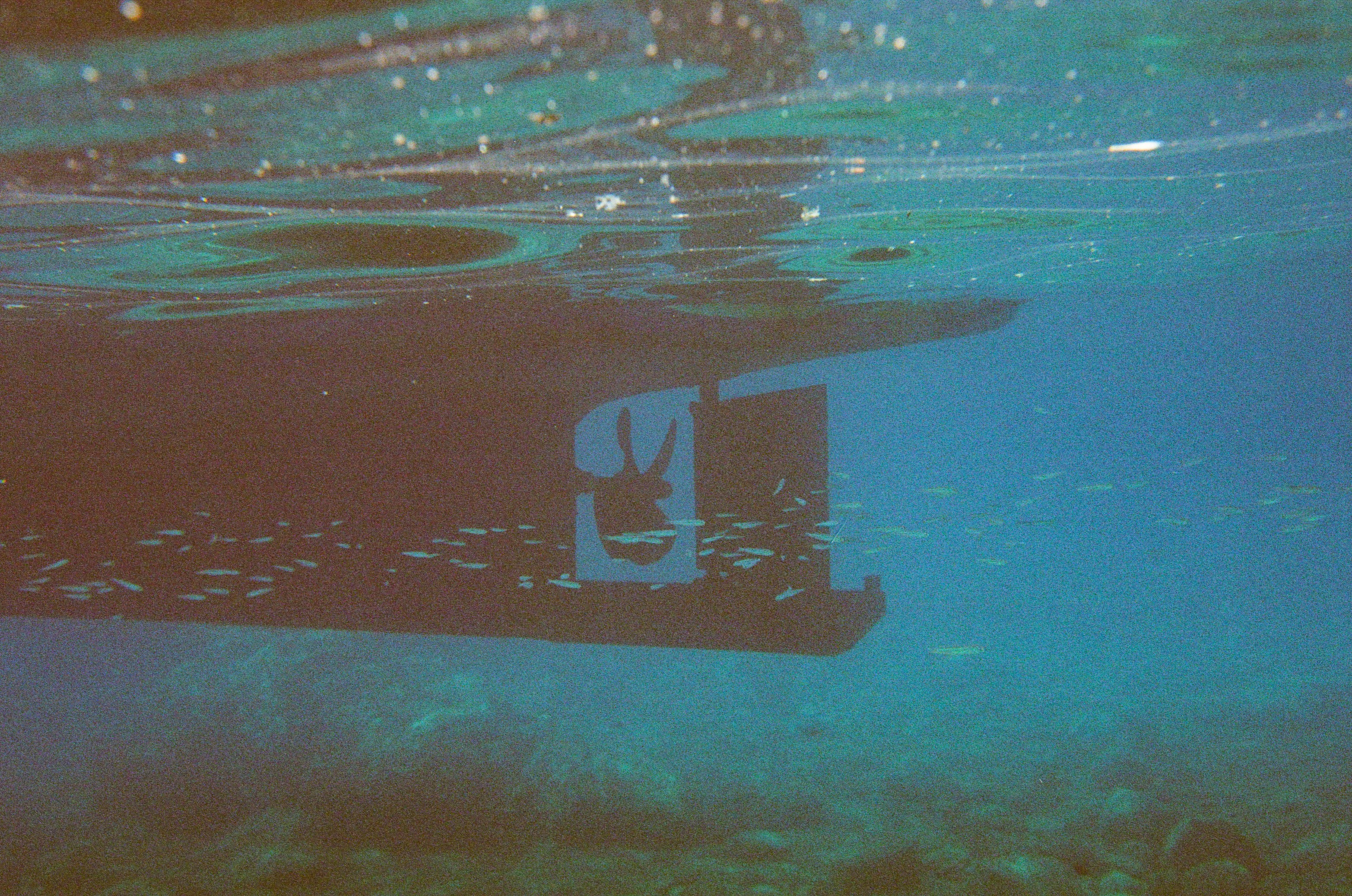 Underwater view of a boat hull showing the rudder and propeller surrounded by small fish.